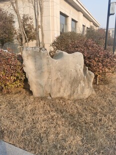 观赏石