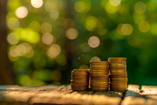 金币货币理财产品