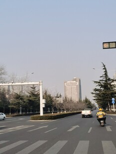 马路