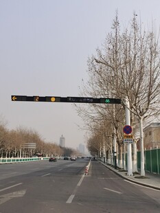 树杆