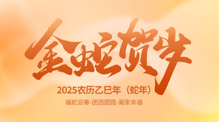 质感2025蛇年海报