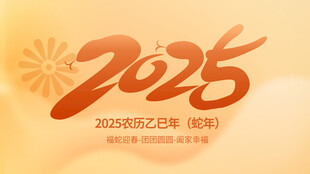 2025春节海报 