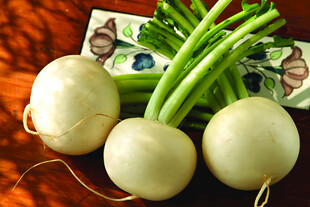 白萝卜