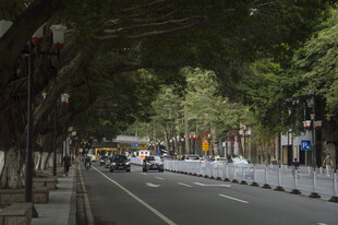 城区车流道路
