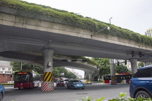 城区车流道路
