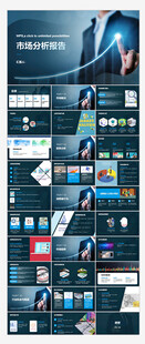 企业产品市场分析报告PPT