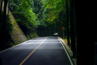 森林公路