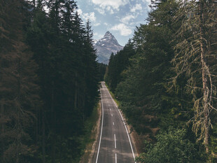 林中柏油路