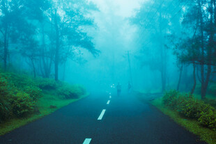浓雾公路