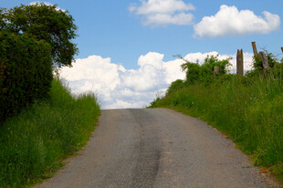 道路景观