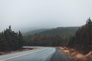 山间柏油路