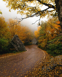 落叶山路