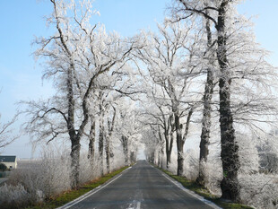 雪山公路