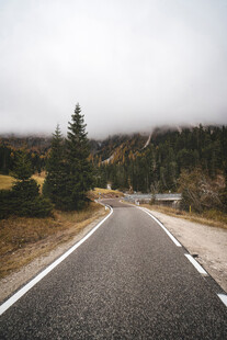 远山树木公路