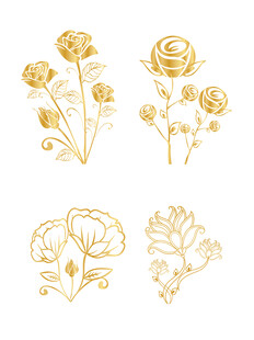 玫瑰花插画