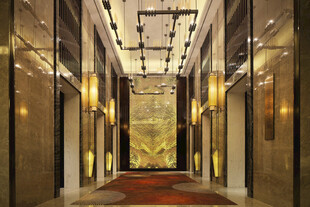 酒店公区电梯厅
