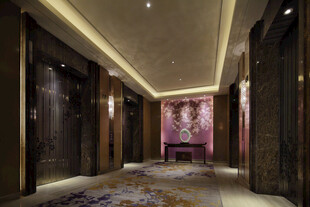 客房区电梯厅