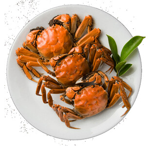 大螃蟹