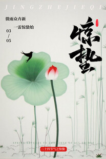 清新简约节气海报