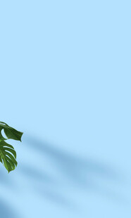 浅蓝背景