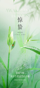 惊蛰海报