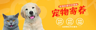 宠物海报