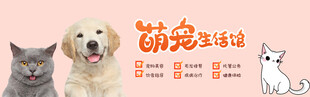 宠物海报 