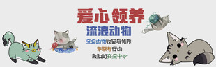 宠物海报