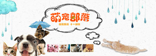 宠物海报