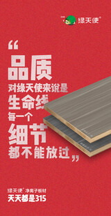 板材315海报