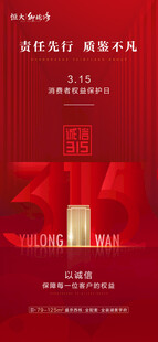 315海报
