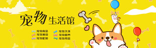 宠物海报