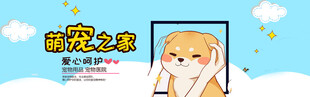 宠物海报