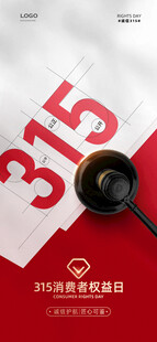 315海报