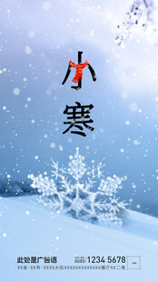 小寒节气海报