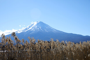 富士山