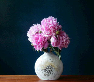 粉色芍药花花朵