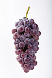 葡萄