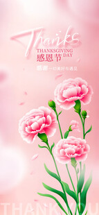康乃馨感恩节
