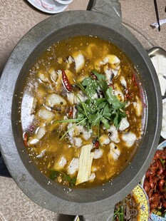 石锅鱼