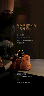 奢侈品皮具养护手机刷屏