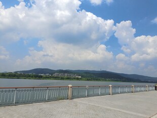 江岸风景