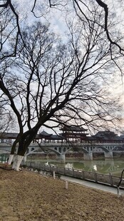 公园美景摄影