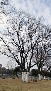 公园美景