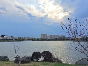 公园美景摄影