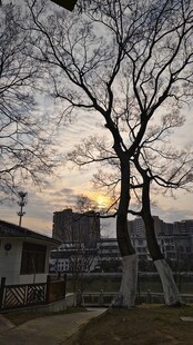 公园傍晚风光