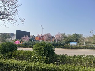 路边风景