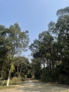 美景