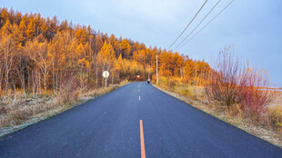 秋天清晨的公路