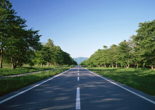 春天公路